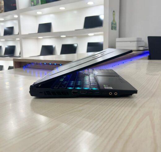 GAMER MSI GL65 Léopard 10SFK
