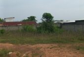 Terrain en vente à yamoussoukro