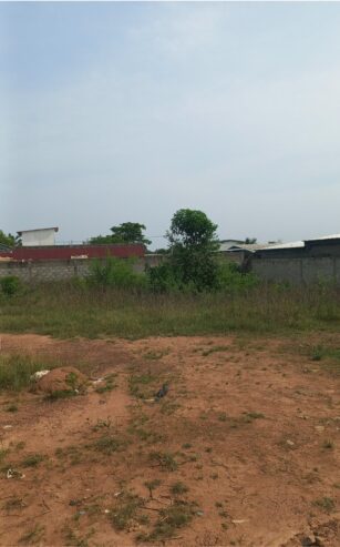 Terrain en vente à yamoussoukro