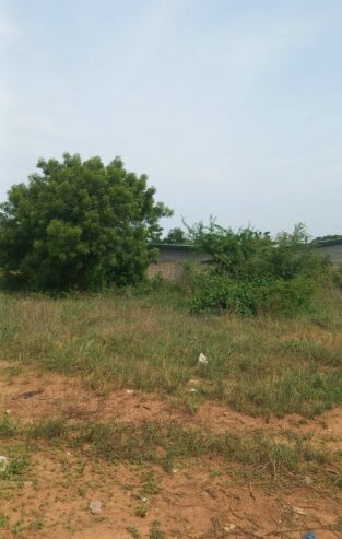 Terrain en vente à yamoussoukro